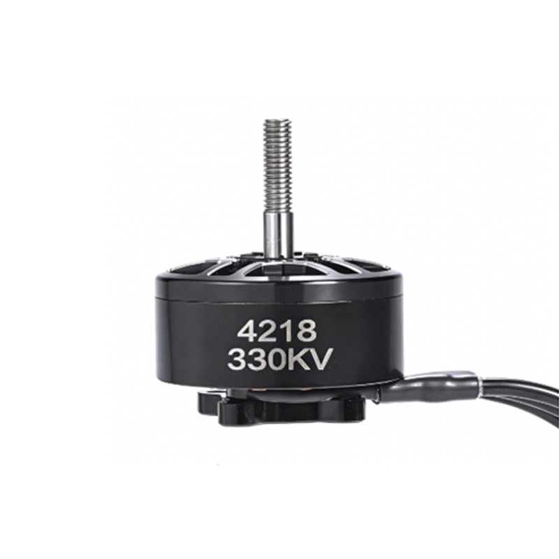 motor-4218 view 2